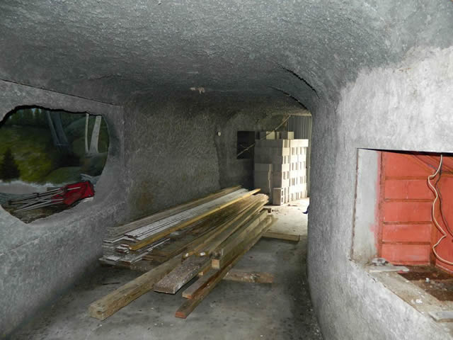 Underground Forest - Summer 2013 From Ron Gross (newer photo)